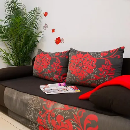 Natasa Seget Vranjica